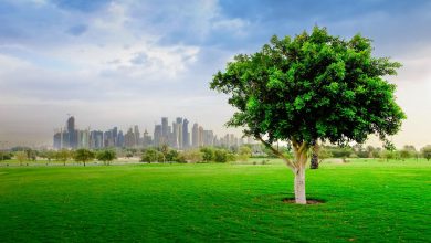 Ministry reopens Al Bidda park for exercise
