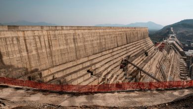 Ethiopia announces success of first stage of filling Renaissance Dam
