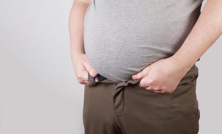 New antibodies created to cure obesity
