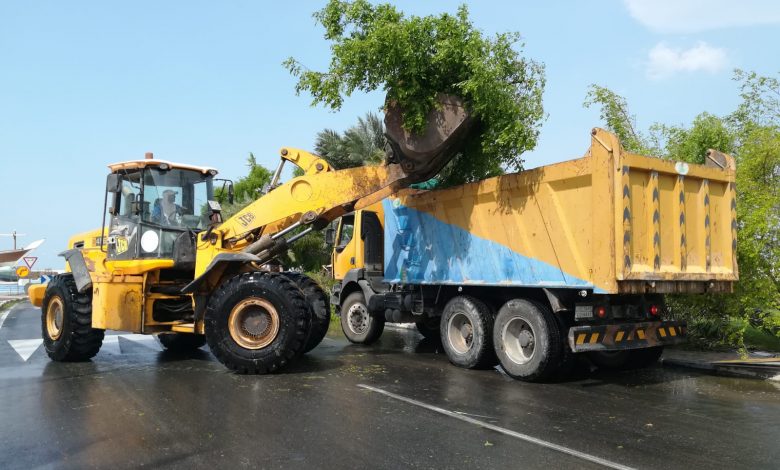 Ministry lifts broken trees after rains