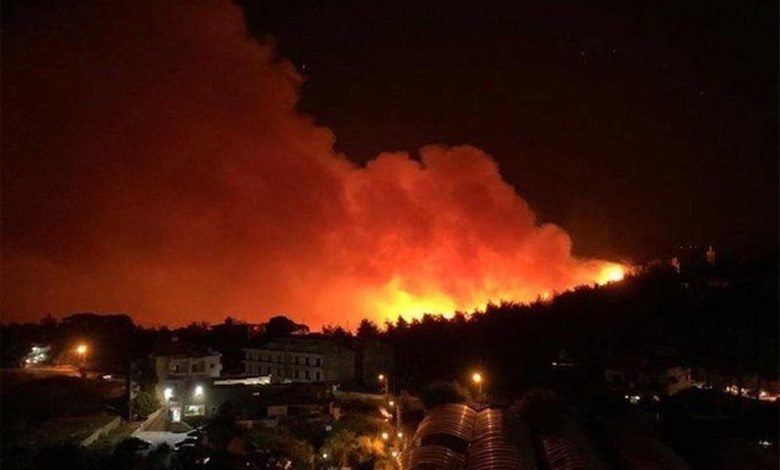 Forest fires hit again in Syria and Lebanon