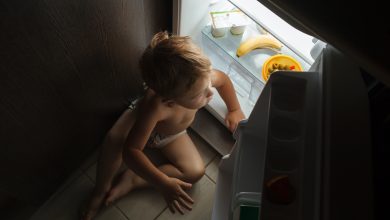 Childhood Obesity May Be Caused by Changes in Reward Center of Brain