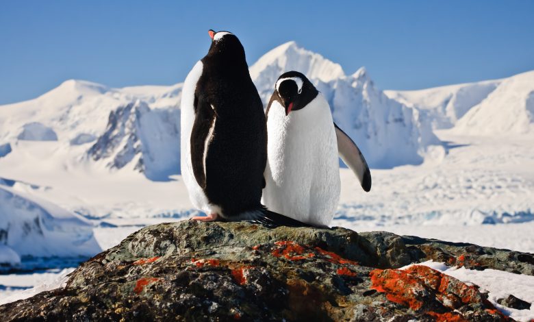 Antarctica is experiencing its hottest temperatures in 3 decades