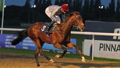 NOMAN Achieves Victory for Al Shaqab Racing