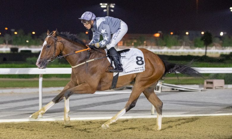 X Force steals the show to seal Umm Al Houl Cup win