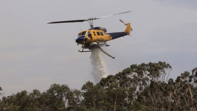 Bushfires Ravage Australia's UNESCO World Heritage Fraser Island