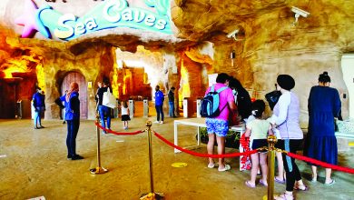 Desert Falls theme park opens partially