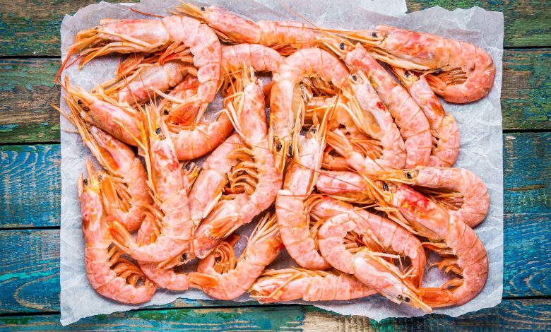 Ministry Announce First Production of Water Research Center of Shrimp