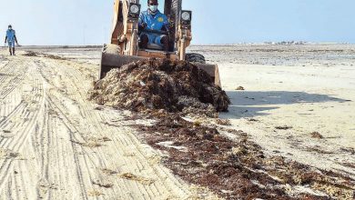 Cleaning 150 km from northwest beaches