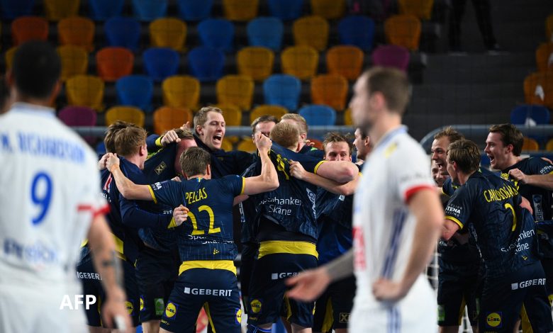 Sweden Reach World Handball Championship Final