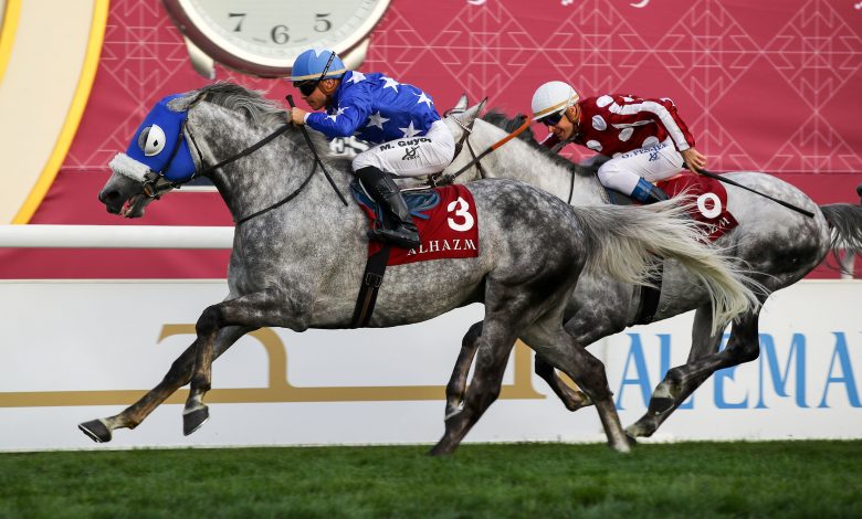 Top Europeans Take on Qatar's Best Races in Amir Sword Festival