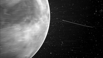 NASA probe captures stunning image of Venus