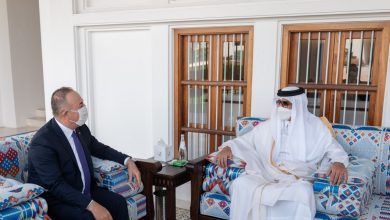 Amir Meets Turkish Foreign Minister