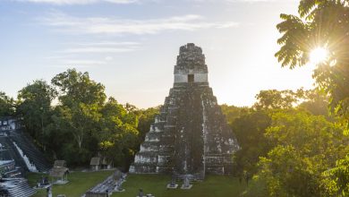 Hidden 'embassy' of legendary Mayan city is FOUND!