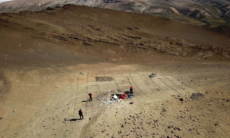 Dinosaur remains discovered amid world's driest desert