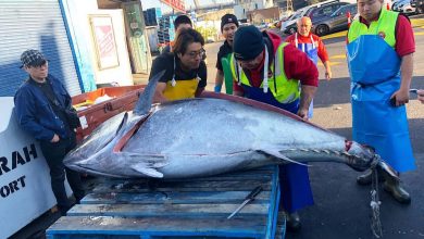 271-kg tuna caught off the coast of Australia