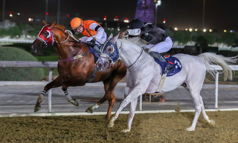 Qatar Racing and Equestrian Club to Hold Al Wakra Cup