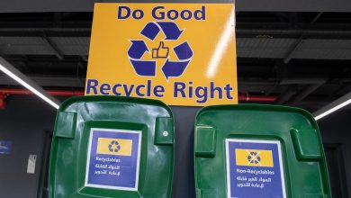 SC Uses Behavioural Science to Divert Waste from Landfill