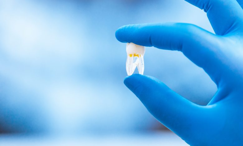 Treatment to Regenerate Lost Teeth developed
