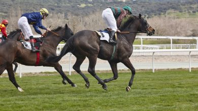 Equestrian: Qaiser Wins 2200m. Race in Prix Carrus