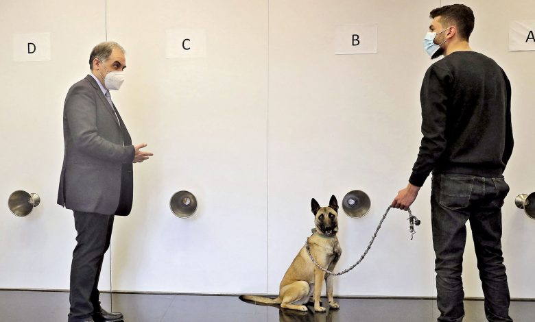 Lebanese doctor’s drive to curb COVID-19 with sniffer dogs