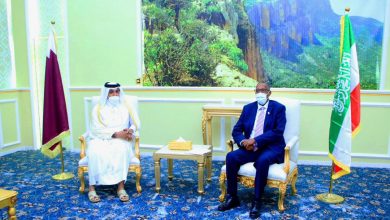 Special Envoy of the Minister of Foreign Affairs Visits Somaliland