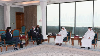 Minister of Commerce Meets President of France-Qatar Friendship Group