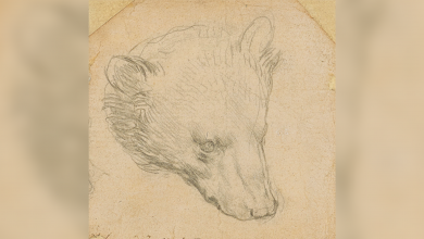 Da Vinci's 'Head of Bear' drawing seen fetching up to $16 mln