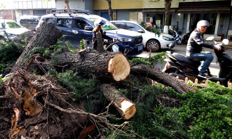 Eleven killed after extreme weather hits east China