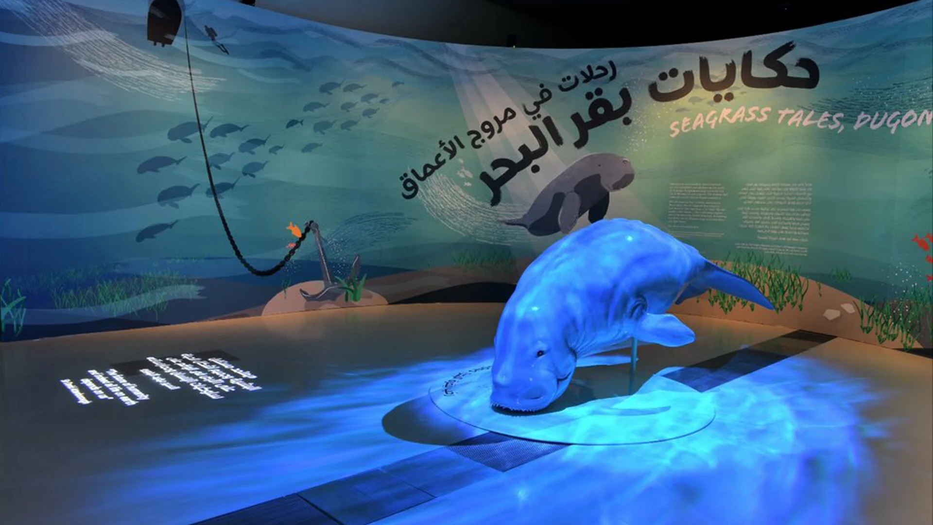 NMoQ Presents First Natural History Exhibition on Dugong