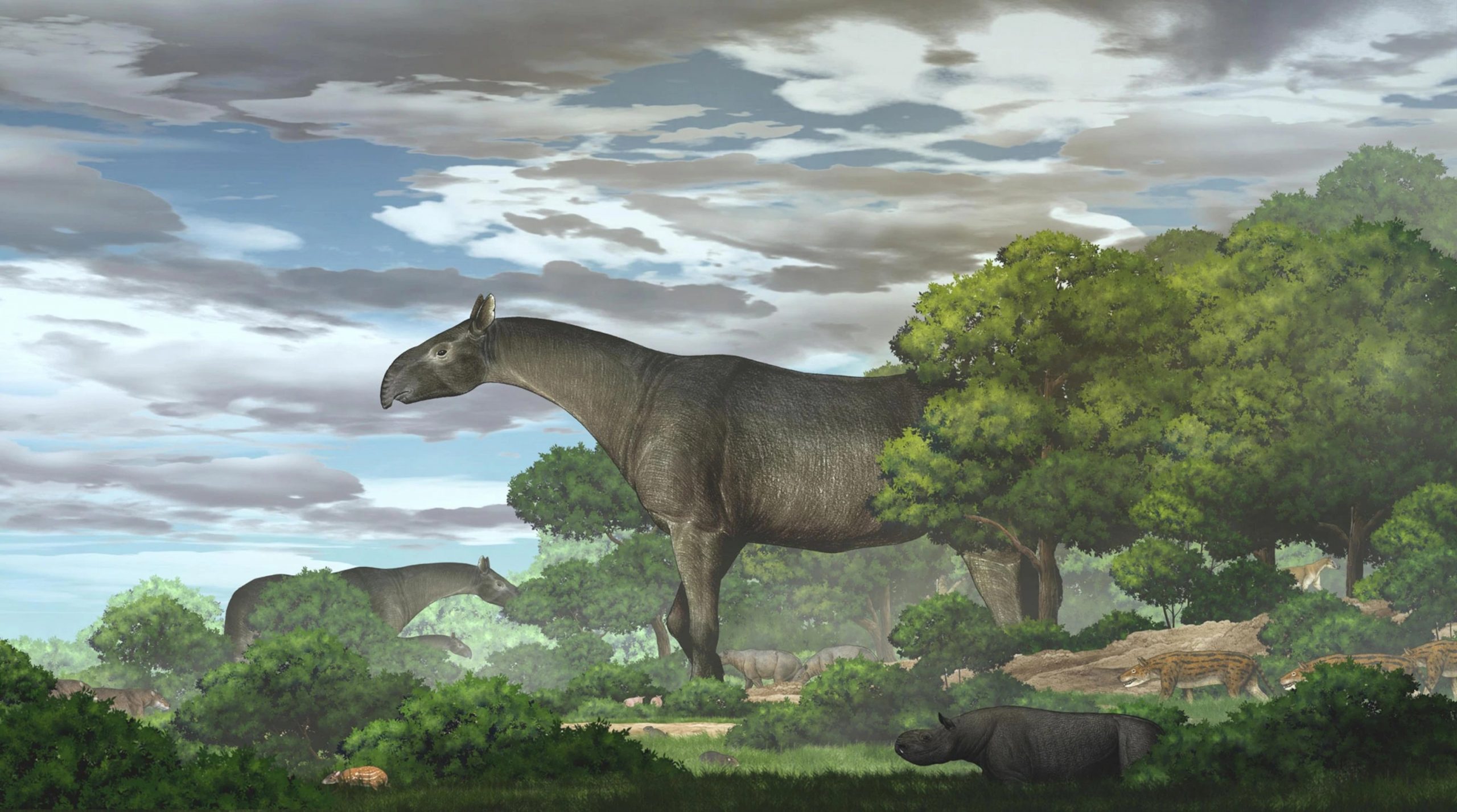 Fossils of rhino taller than a giraffe found in China