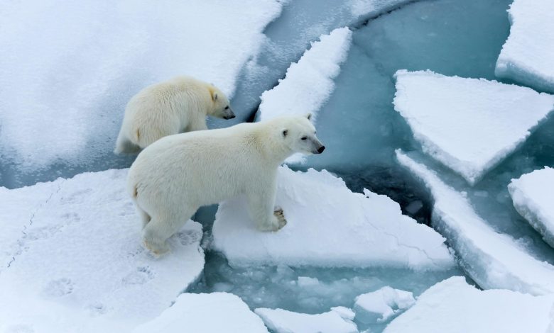 Arctic Sea Ice Thinning Up to Twice As Fast as Expected