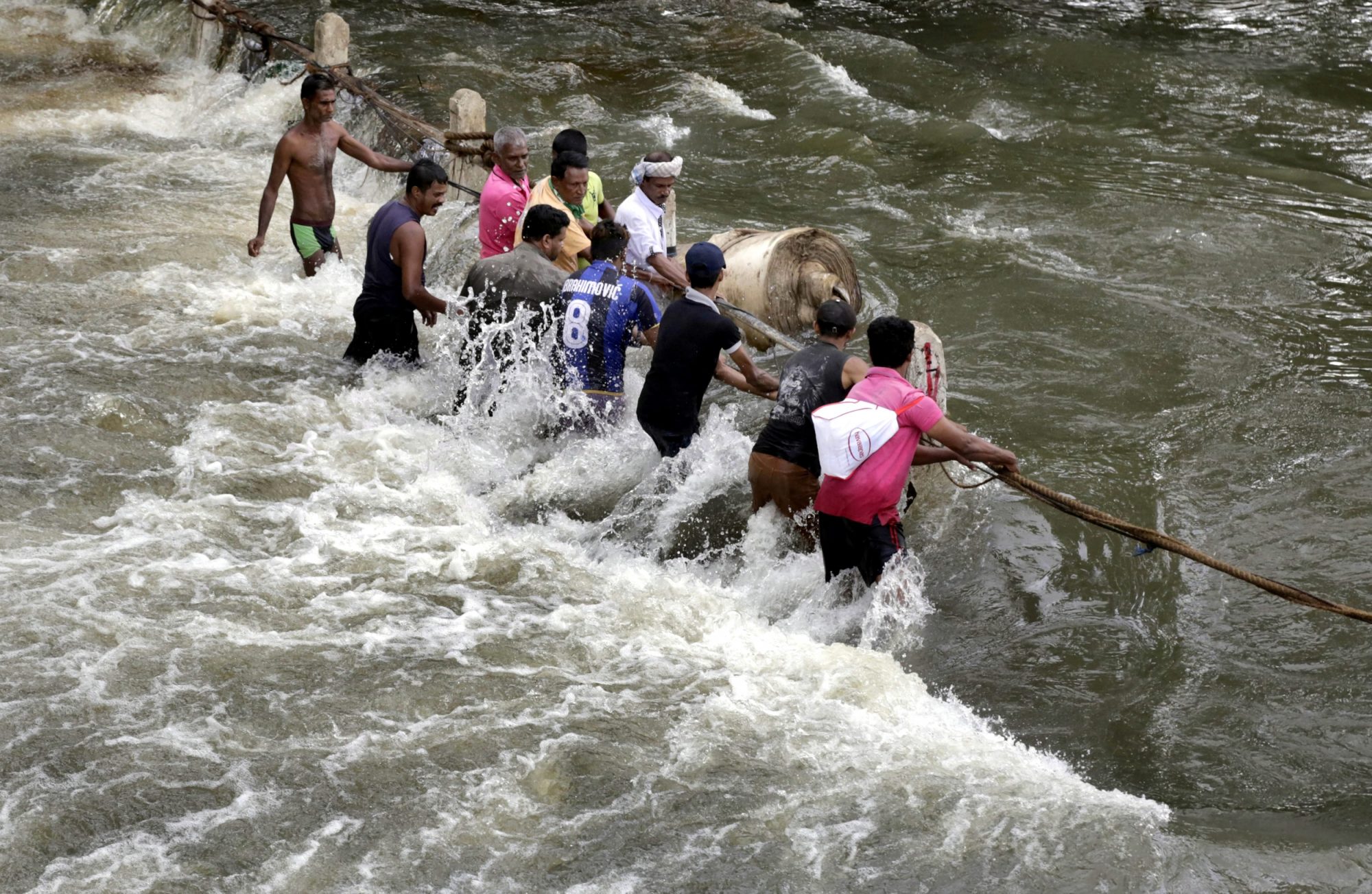 14 killed in Sri Lanka floods, landslides