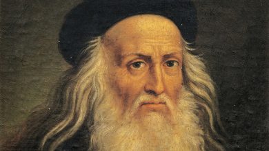 14 da Vinci family members identified