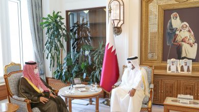 Prime Minister Meets Saudi Ambassador