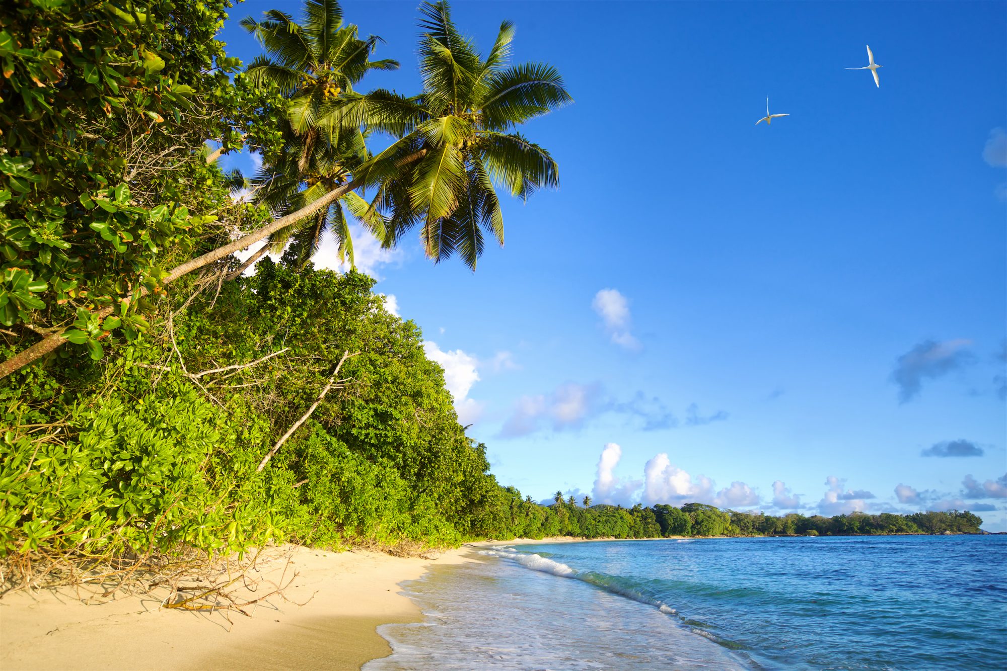 QA and Tourism Seychelles Launch Strategic Marketing Partnership