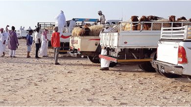 Random market sells sacrifices in Abu Nakhla