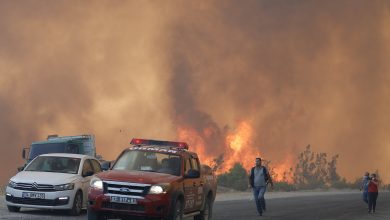 Turkey Announces Control Over 107 Fires out of 112