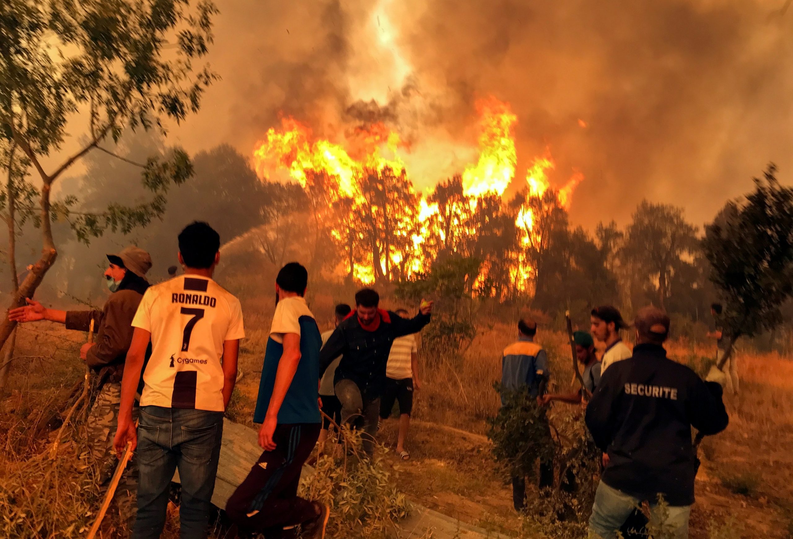 Algeria: 43 Fires in 20 Provinces Brought Under Control