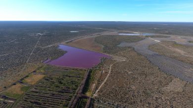 Argentina lakes turn pink but the outlook not rosy, environmentalists say