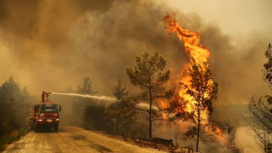 Turkish President Declares Fire-Affected Regions Disaster Areas