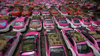 Thailand: Idle taxis used to grow food for out-of-work drivers