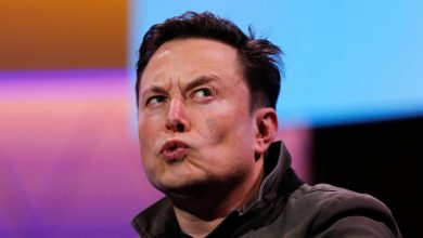 Only 2% of Musk's fortune saves 42 million people from starvation: UN official