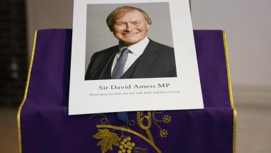 UK Police Says Murder of MP David Amess Was Terrorist Incident