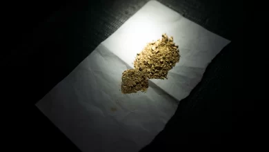 Two Iraqi researchers discover bacteria that produce gold