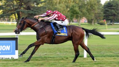 MARJAAN Wins Prix De lAdour for Beginner Thoroughbred Horse in France