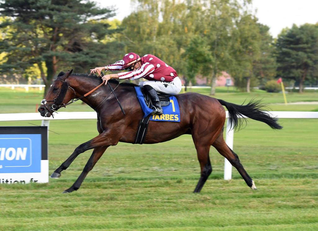 MARJAAN Wins Prix De lAdour for Beginner Thoroughbred Horse in France