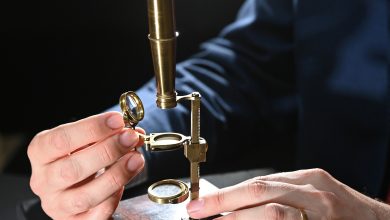 Darwin family microscope to be sold at auction
