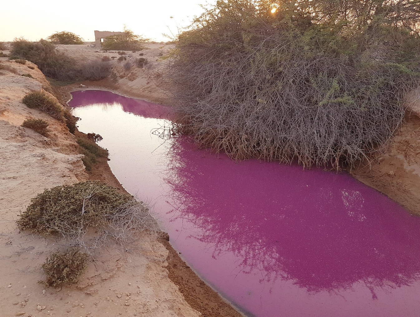Ministry examines a sample of the pink water