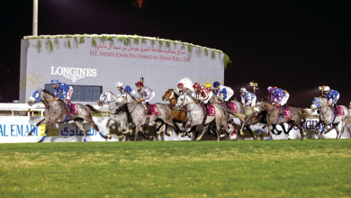 Sheikh Joaan Crowns Winners of the 32nd Horse Racing Competitions
